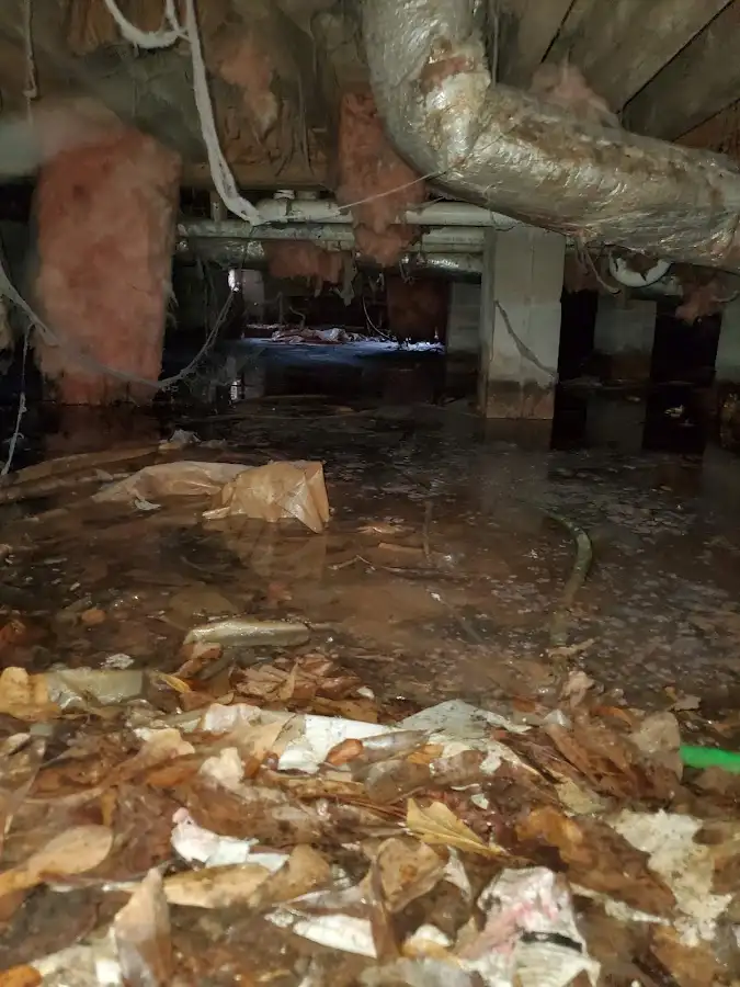 Crawl space flood assessment for Leak Detection & Repair in Tamarac